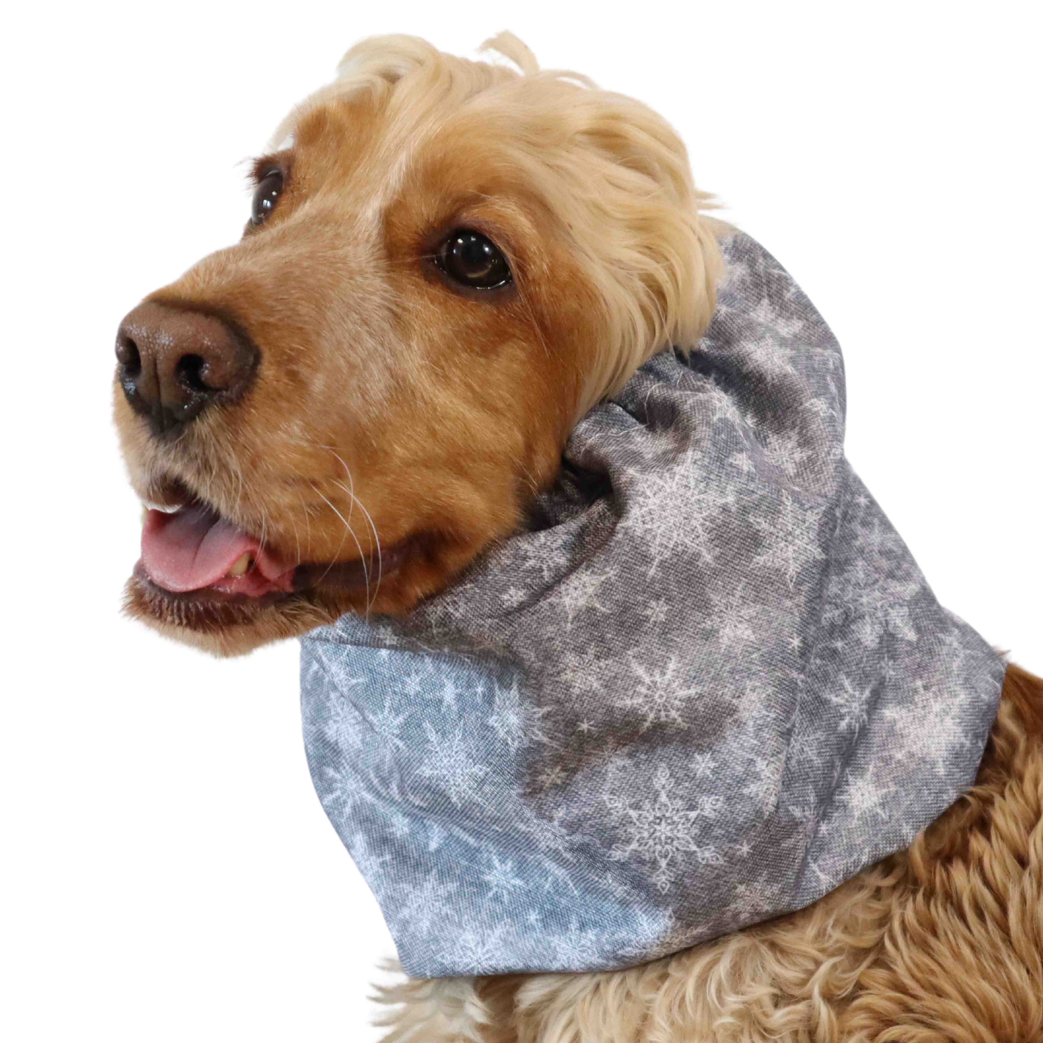 Waterproof Dog Snood | Snowflakes in Acid Black