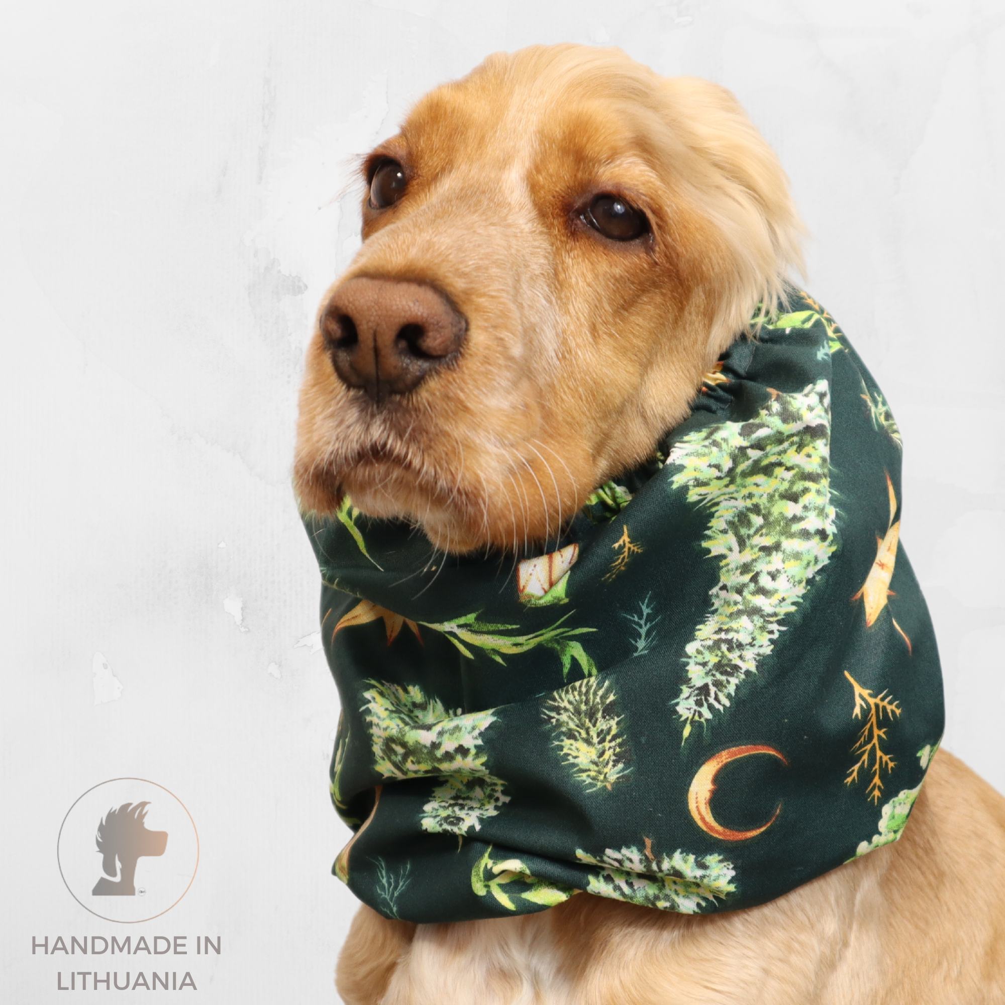 <tc>Medvilninis Snoodas Šuniui | Kalėdinė naktis</tc>