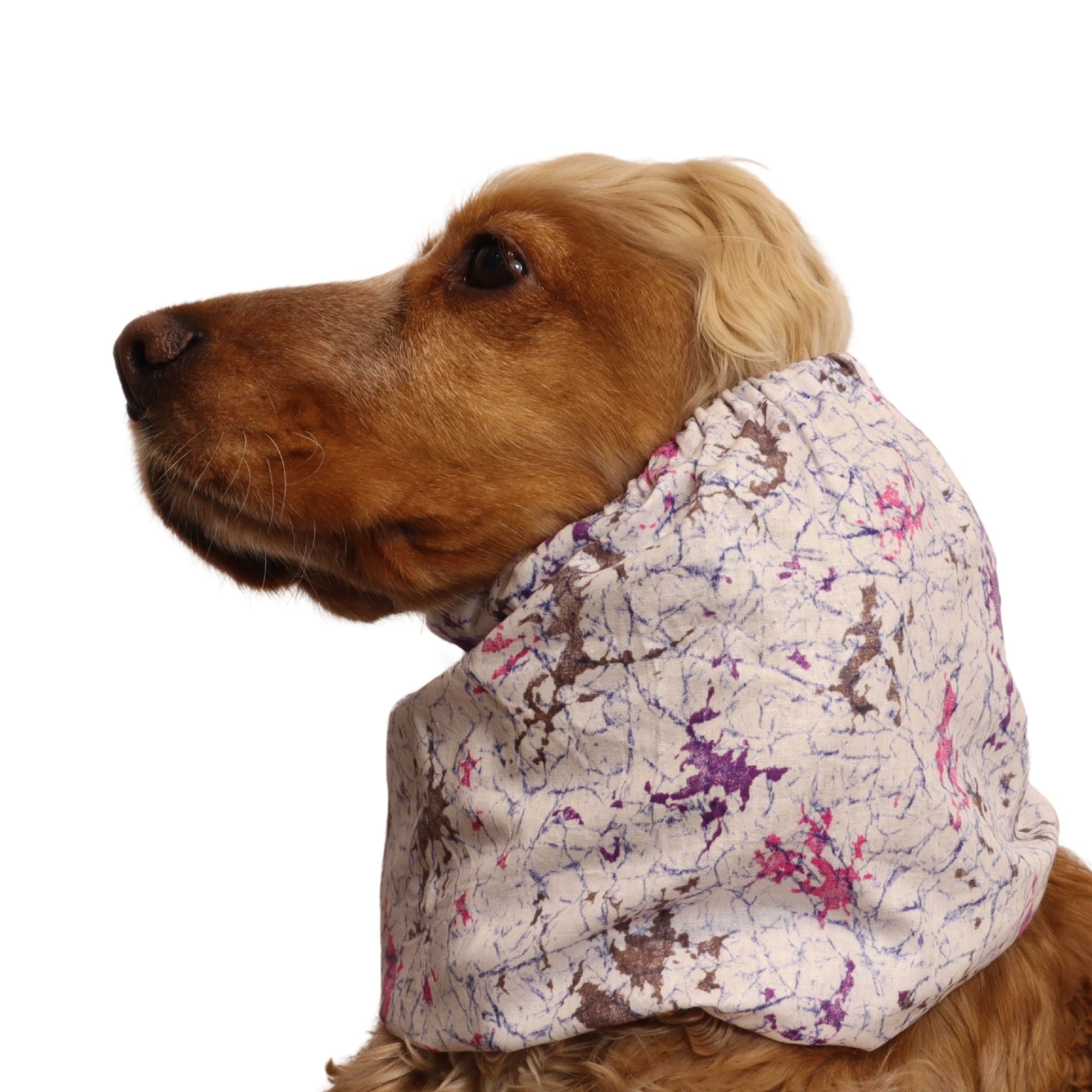 <tc>Medvilninis Snoodas Šuniui | Galaktikos srautas</tc>