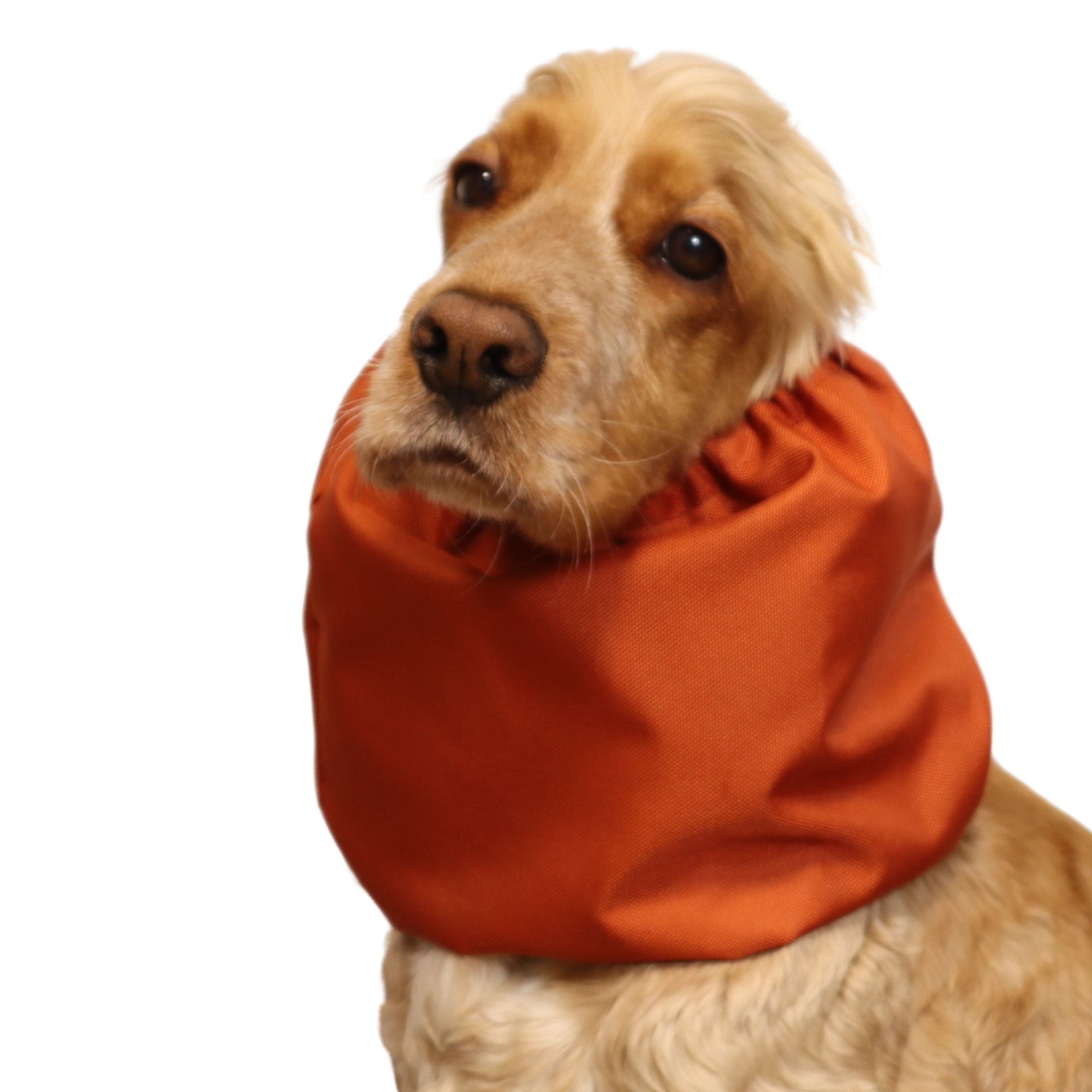 Waterproof Dog Snood | Burnt Orange