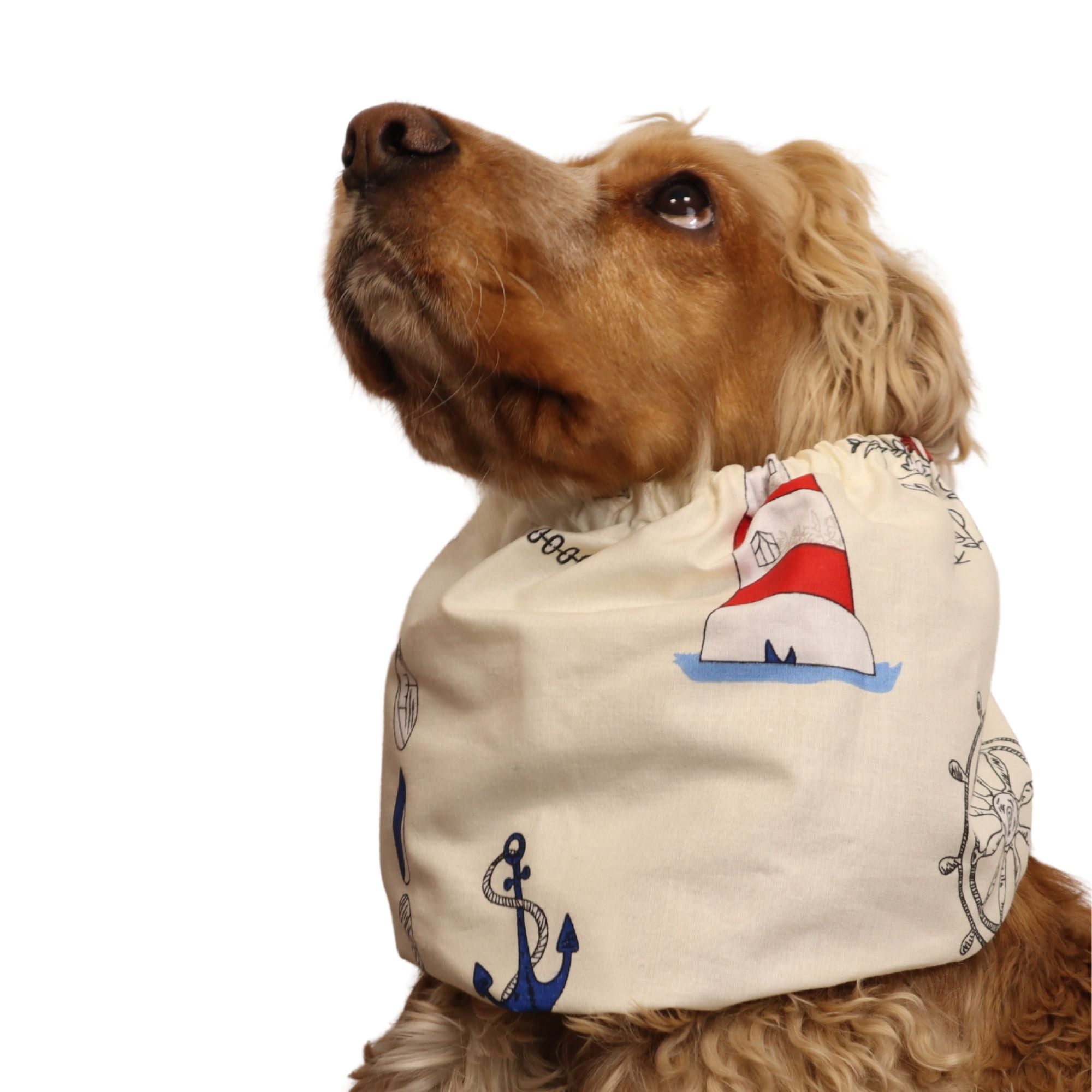 <tc>Medvilninis Snoodas Šuniui | Vandenyno tyrinėtojas</tc>