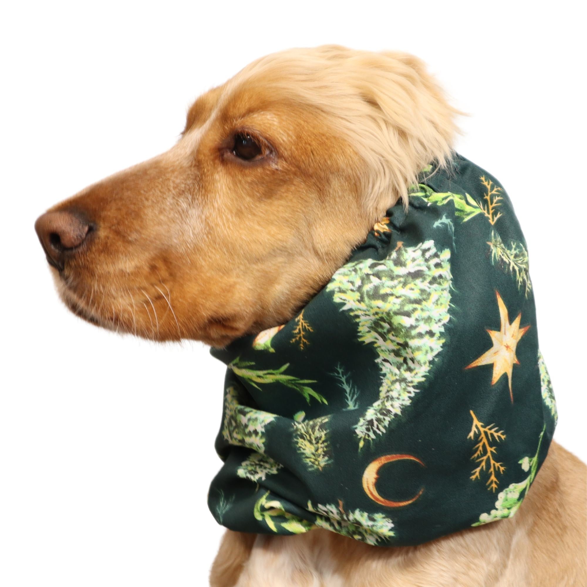 <tc>Medvilninis Snoodas Šuniui | Kalėdinė naktis</tc>