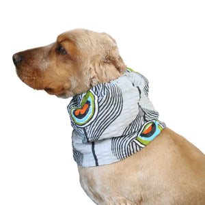 Cockier with Summer Snood by Distinguish Me