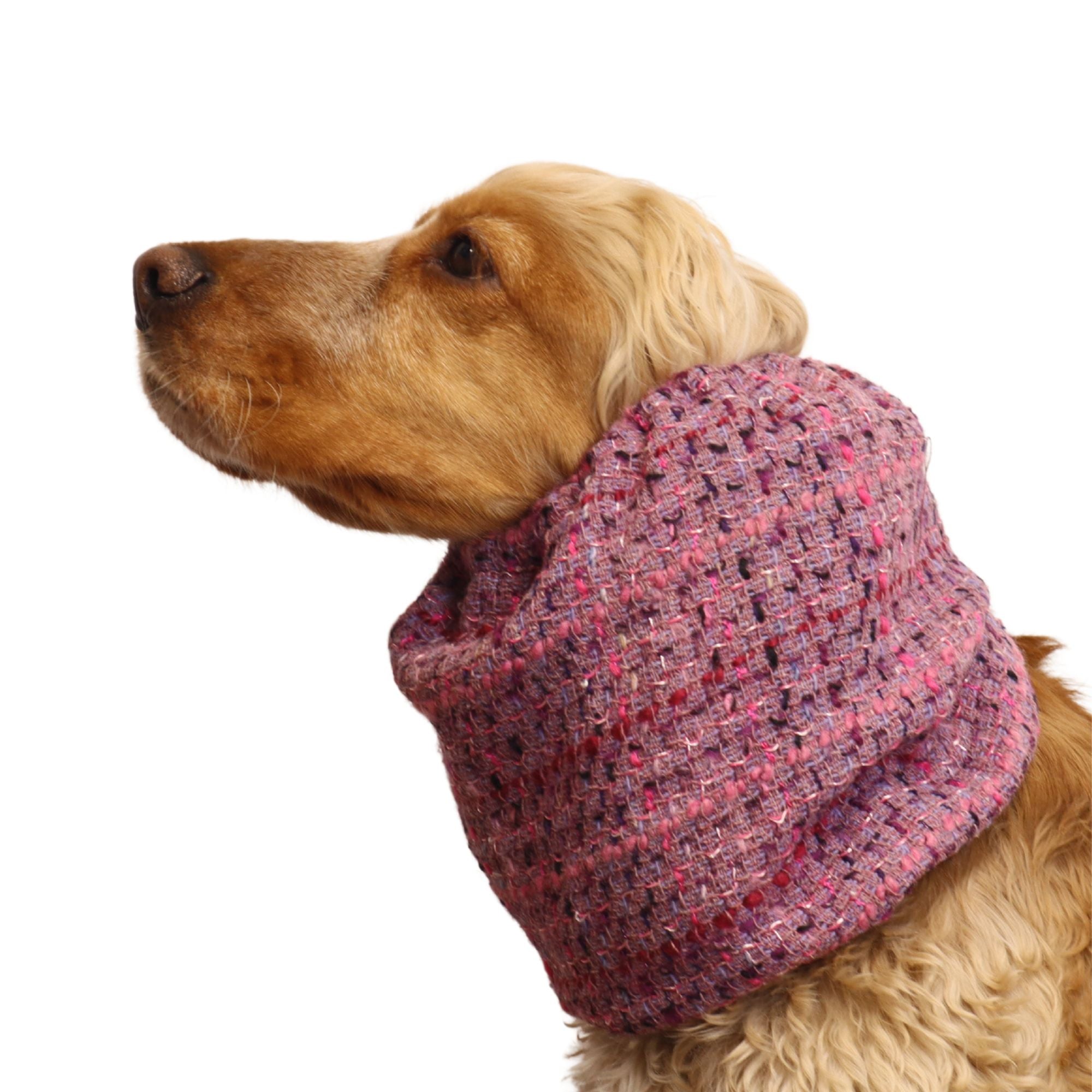 <tc>Tvido snoodas šunims | Šiltas snoodas | Tvido žavesys</tc>