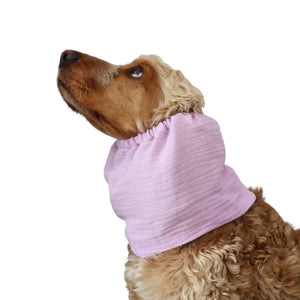 Dog with snood by Distinguish me