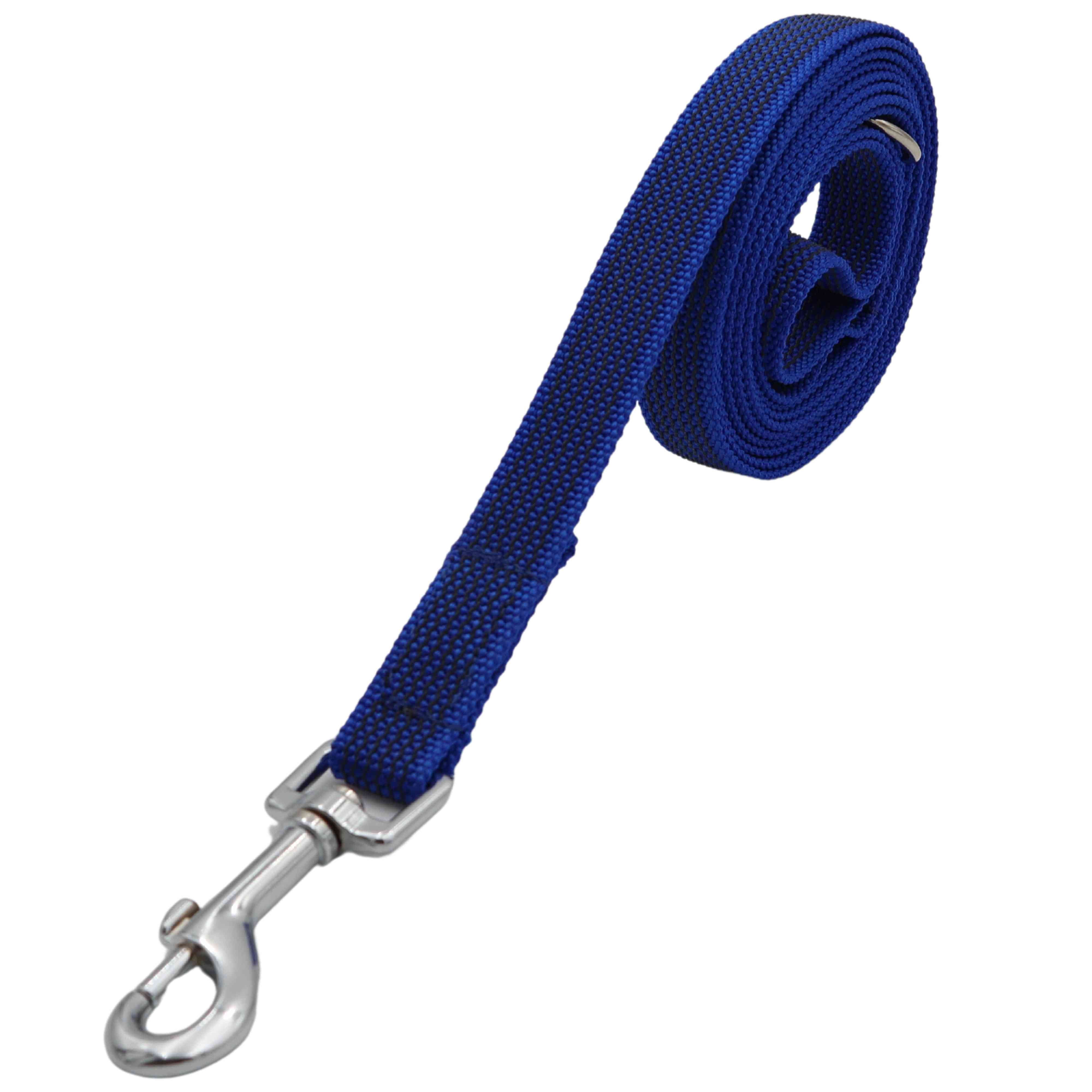 Leash for dog | Non - Slip | Rubberized | Blue | Width: 20 mm