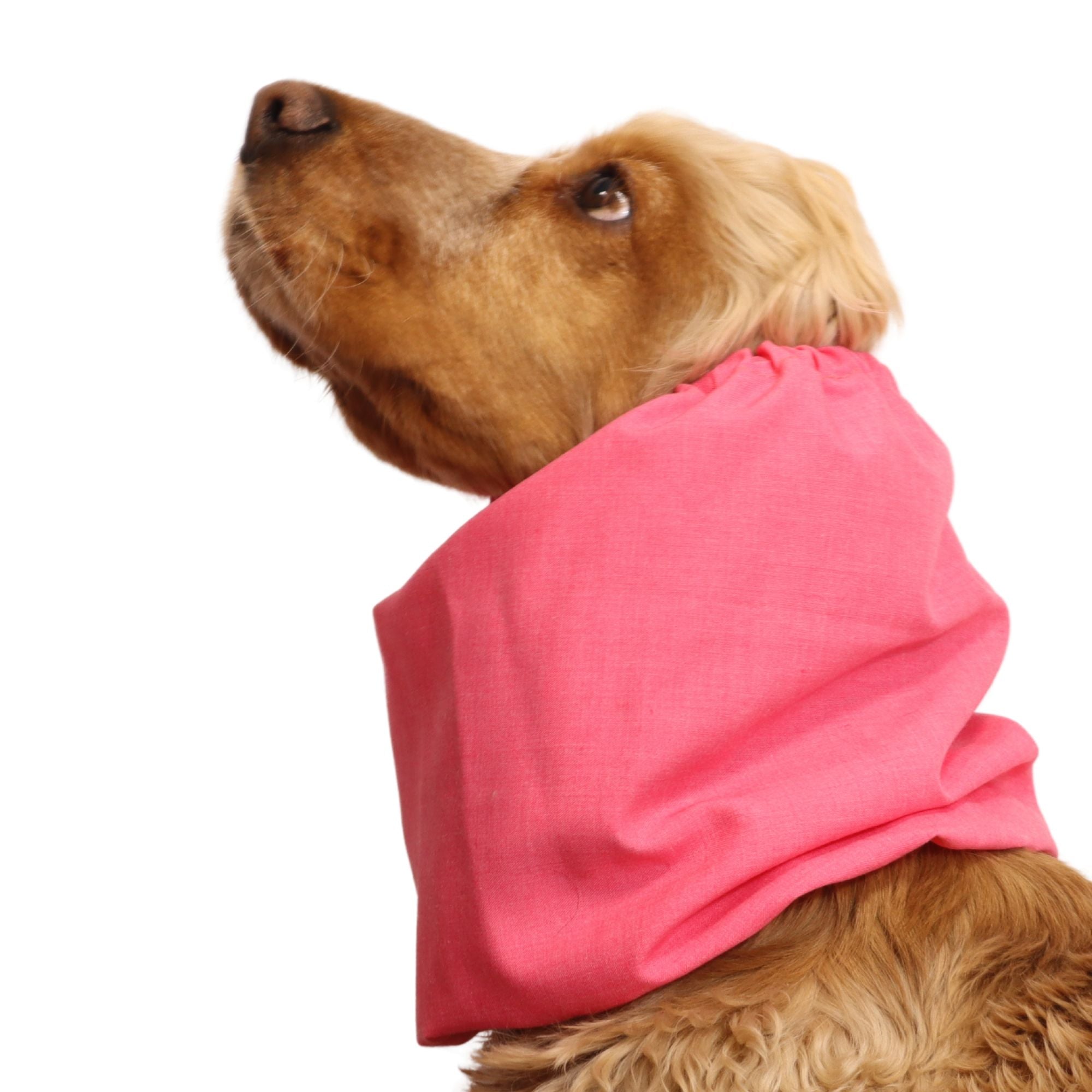 <tc>Medvilninis Snoodas Šuniui | Koralinė rožinė</tc>