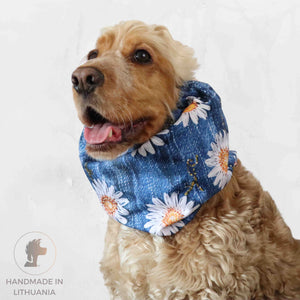 Dog Snood with Daisy pattern Distinguish Me