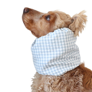 dog with snood