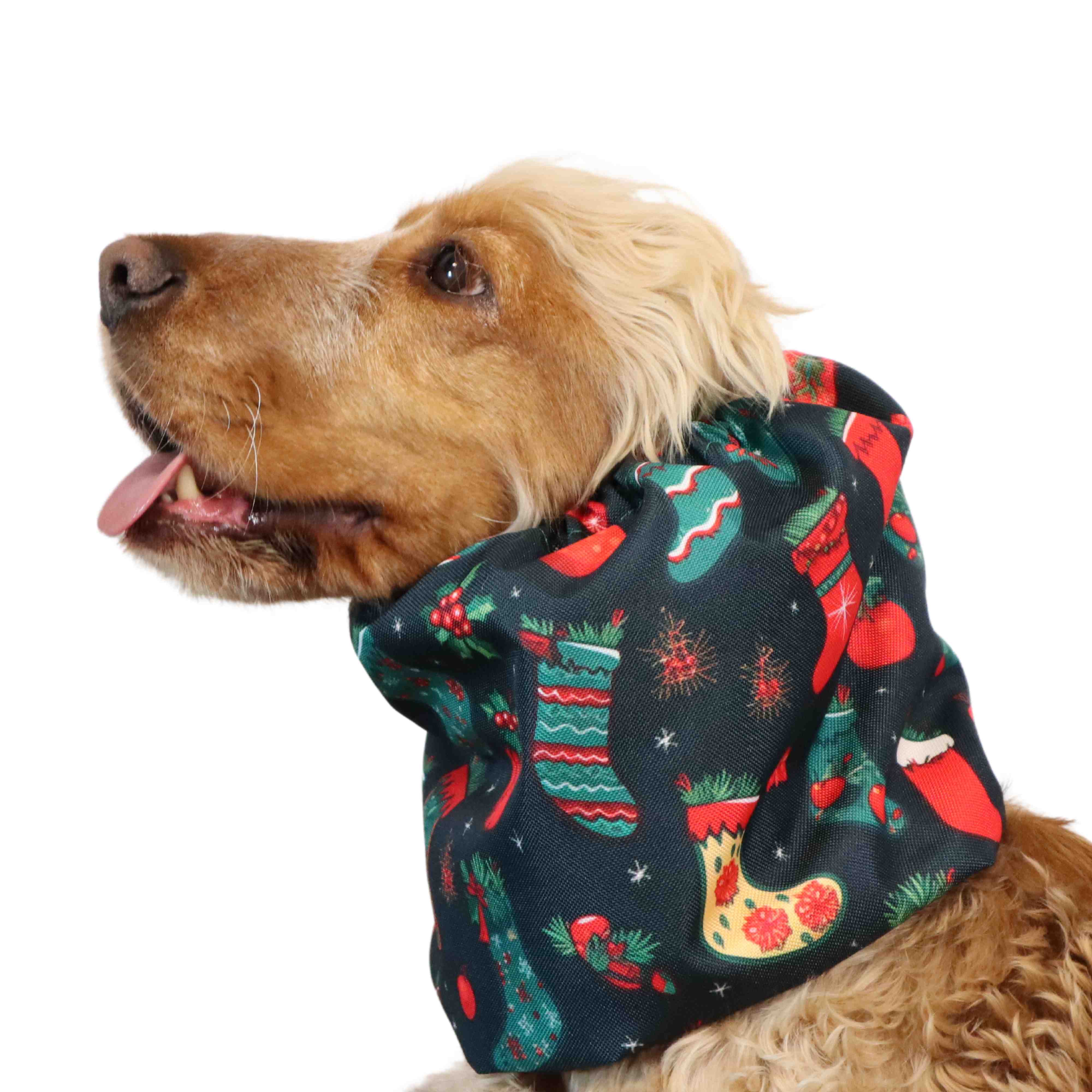 Waterproof Dog Snood | The Thief of Christmas socks