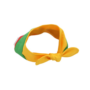 Bandana for dog Lithuania flag colours