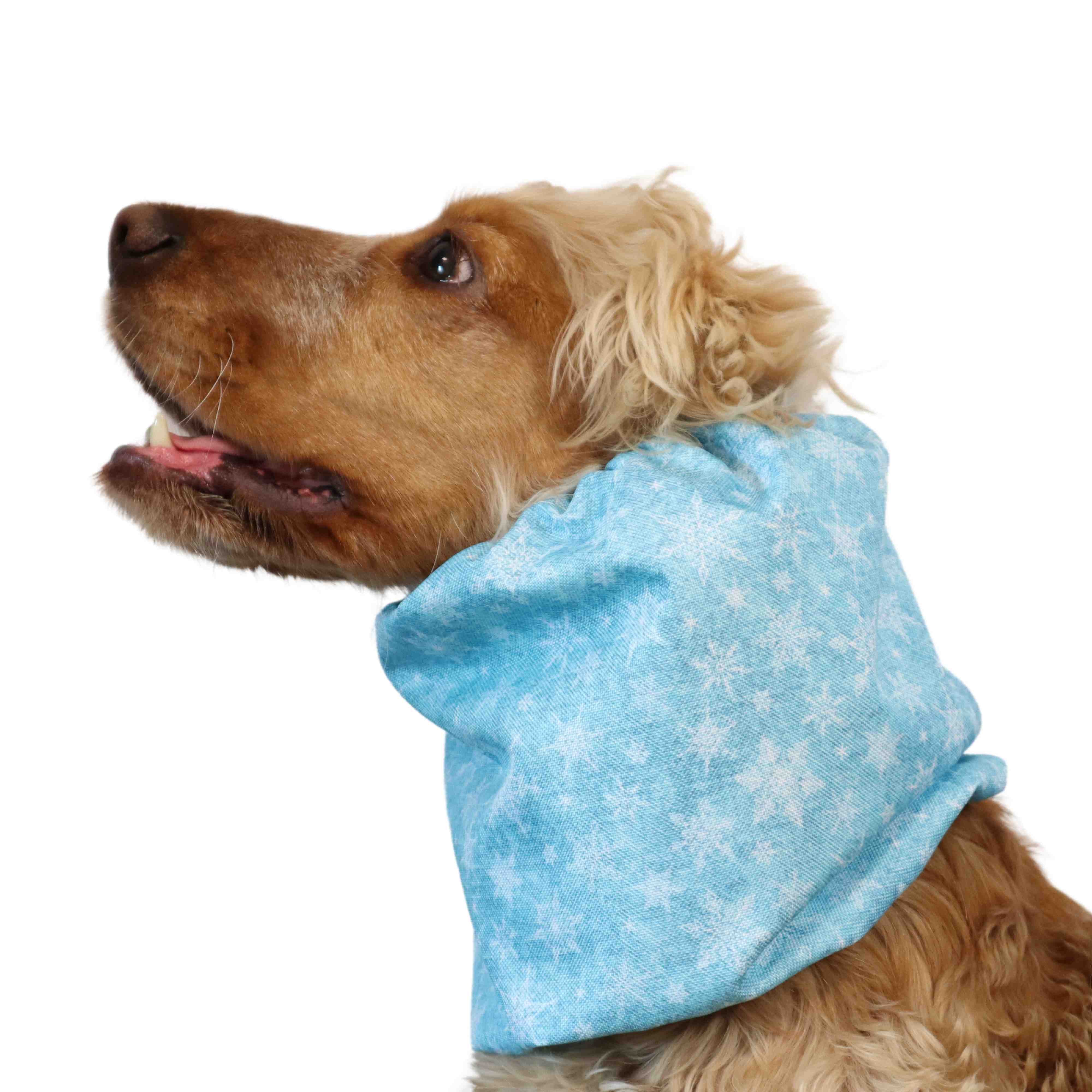 Waterproof Dog Snood | Snowflakes in Sky Blue
