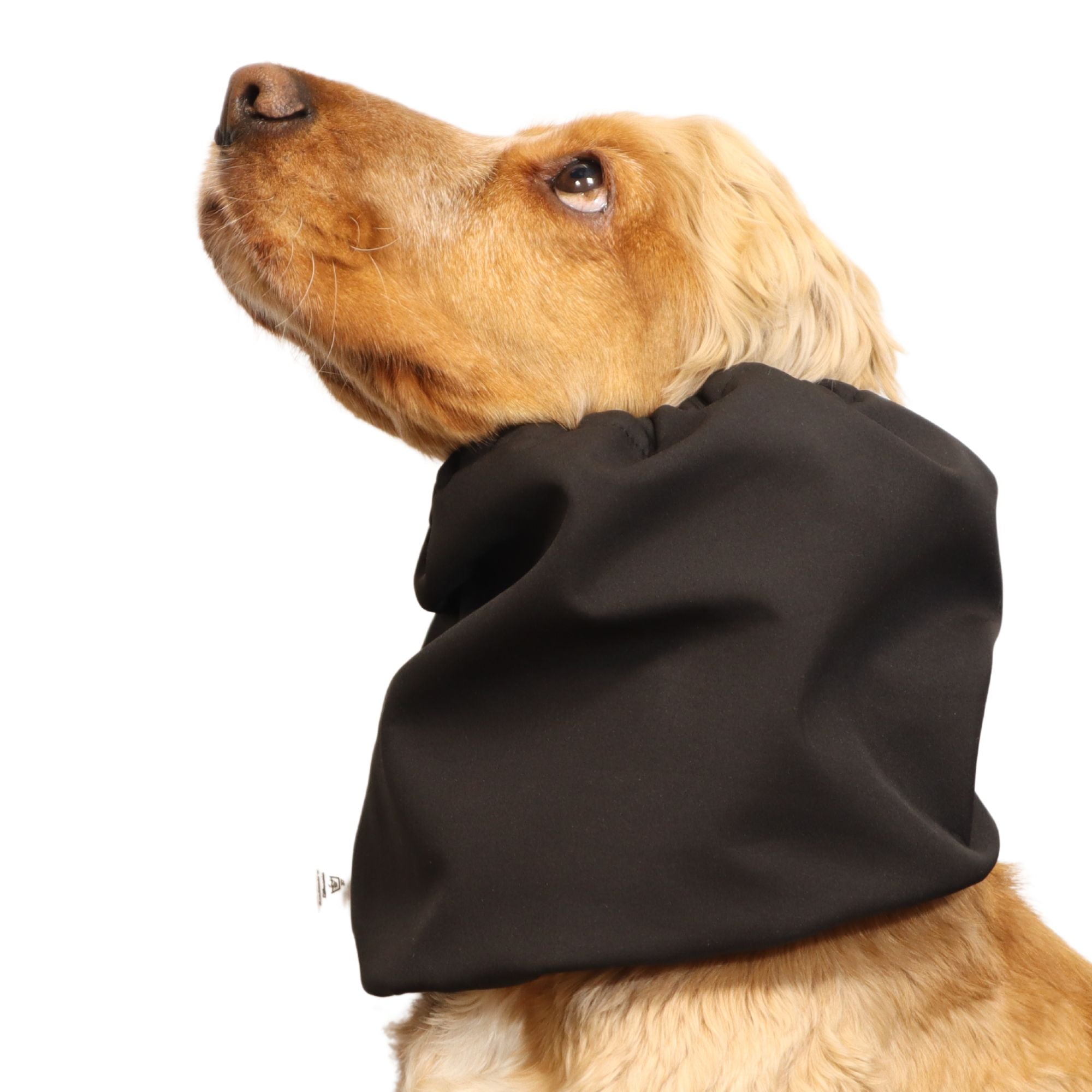 <tc>Vandeniui atsparus žieminis snoodas šuniui | Juodas</tc>