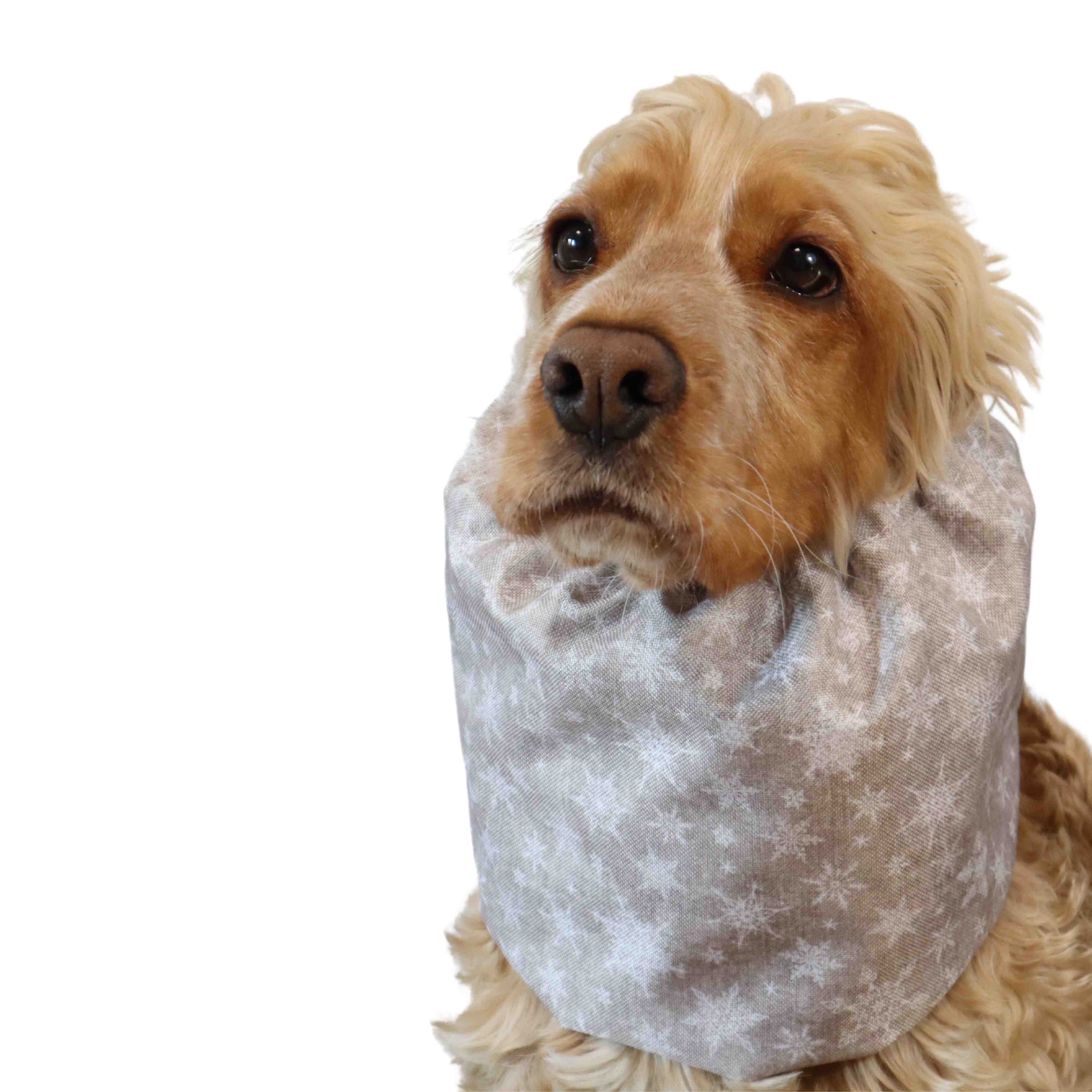 Waterproof Dog Snood | Snowflakes in Beige
