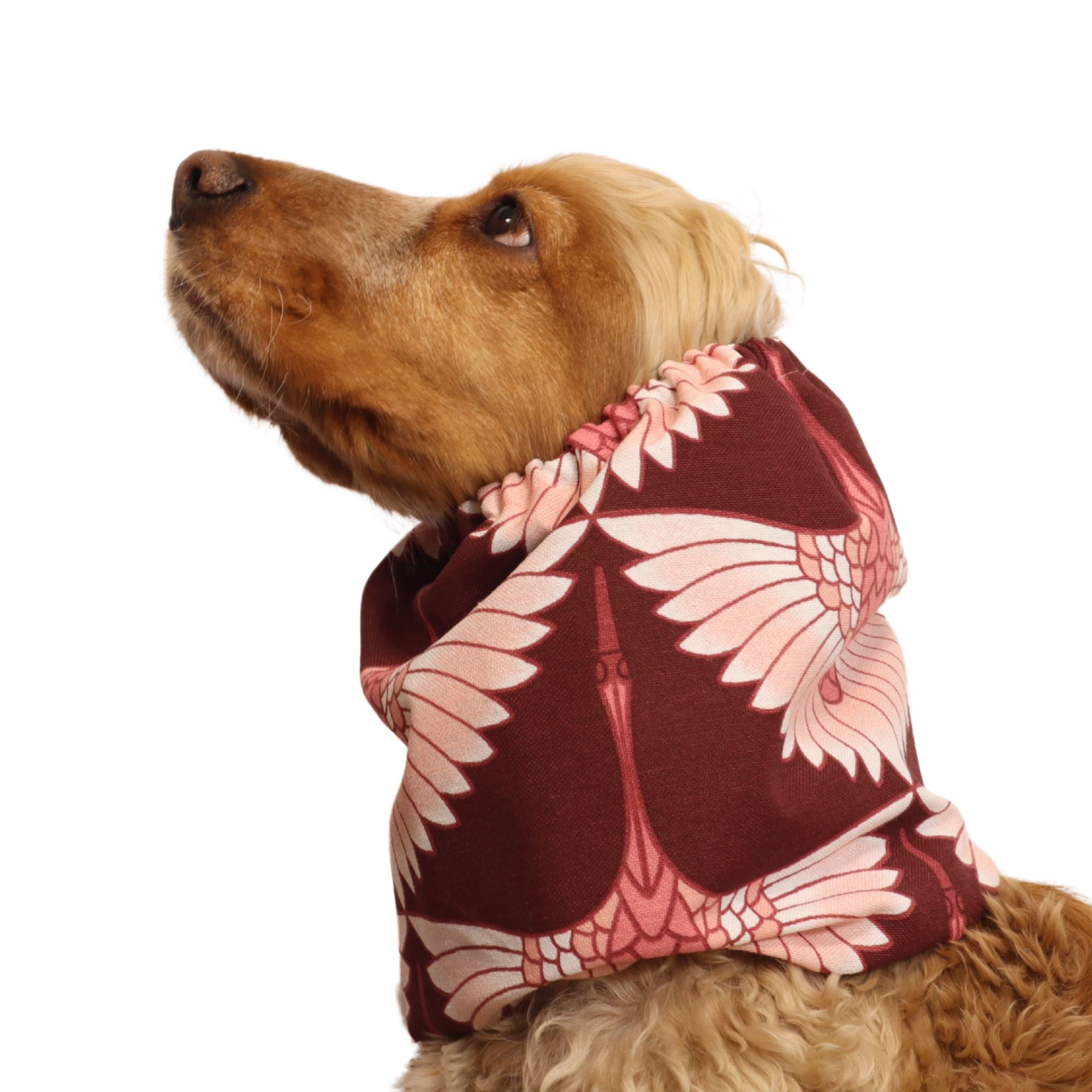 <tc>Medvilninis Snoodas Šuniui | Elegantiškas skrydis</tc>