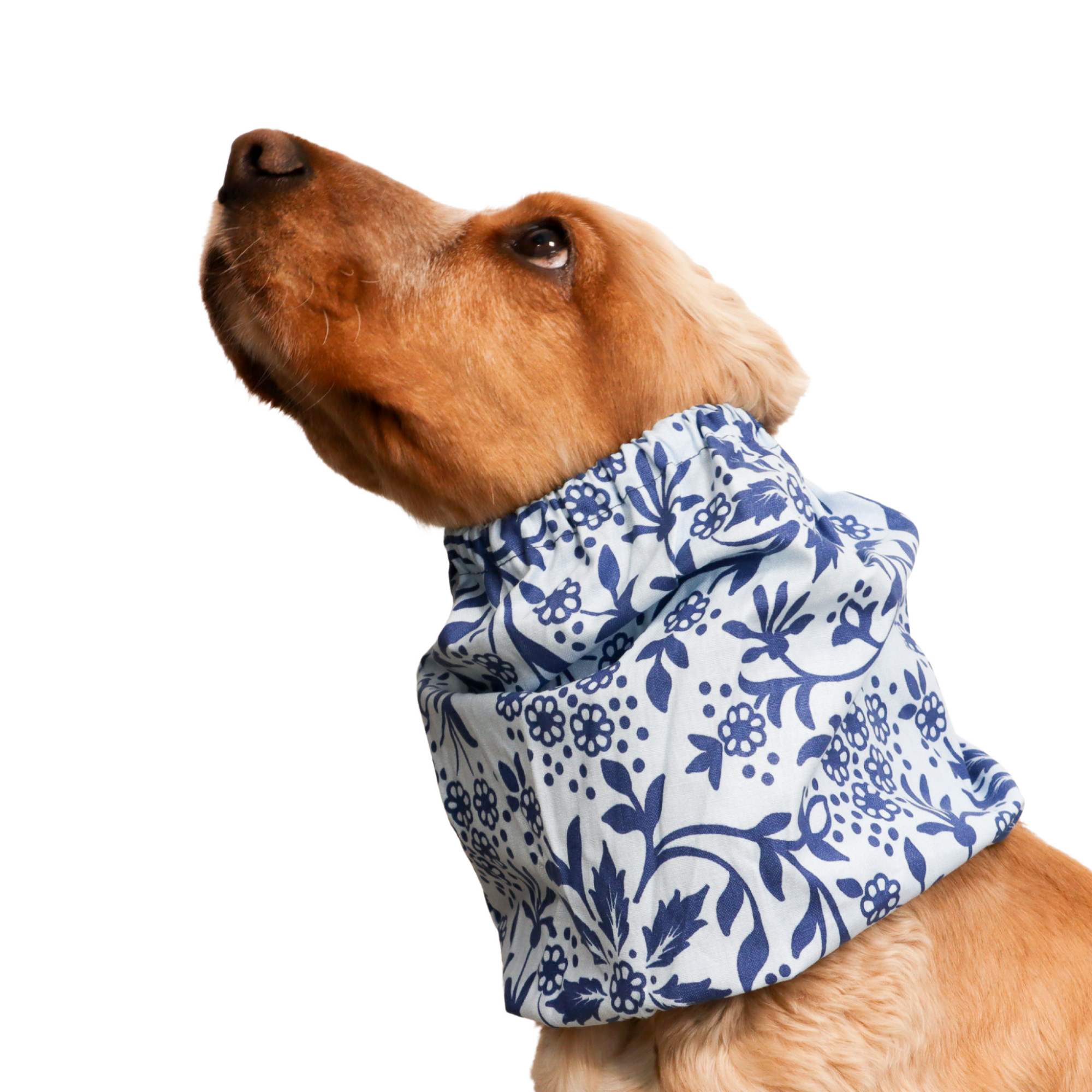 <tc>Medvilninis Snoodas Šuniui | Žydrasis žydėjimas</tc>