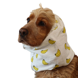 cocker spaniel wearing white cotton snood with banana print for long ears by Distinguish Me