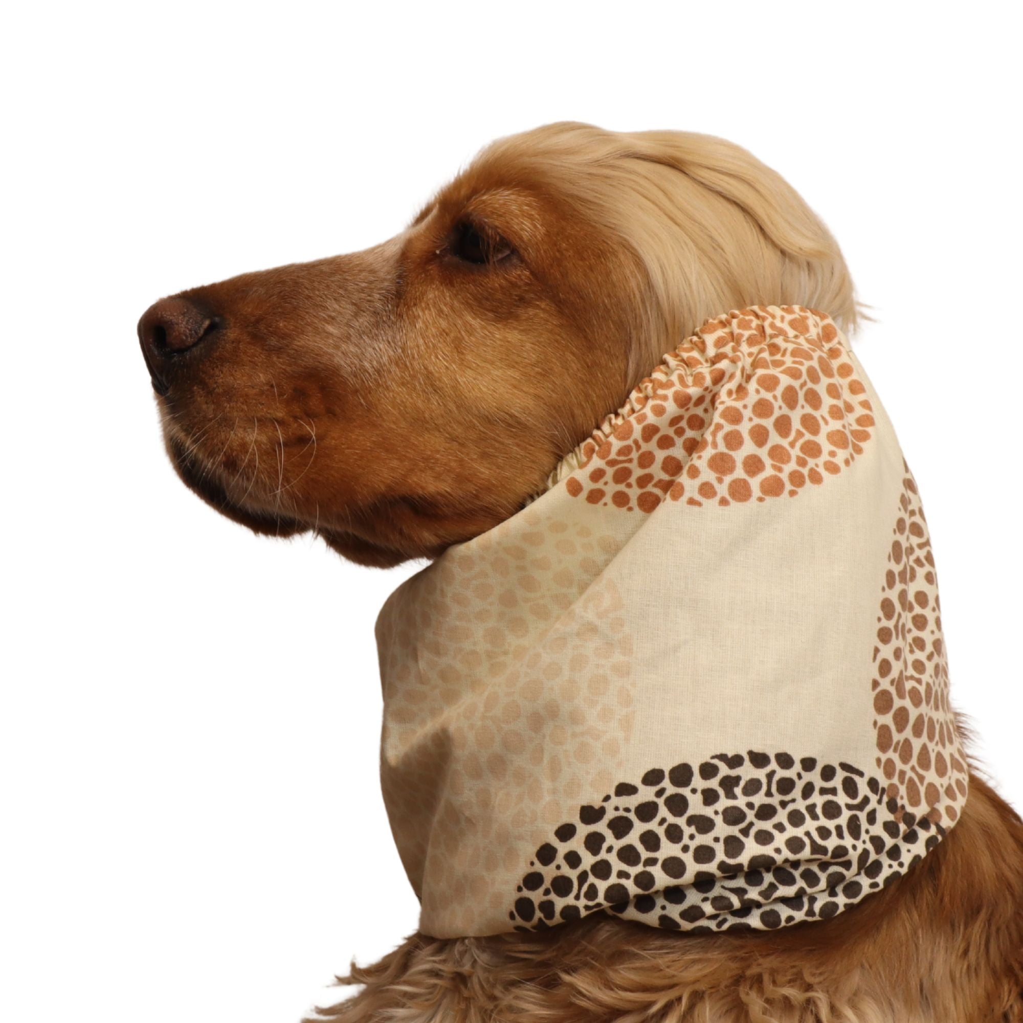 <tc>Medvilninis Snoodas Šuniui | Sodri moka</tc>