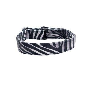 Zebra patterned dog collar on a white background
