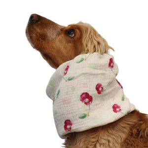 Spaniel wearing cherry print white cotton muslin dog snood by Distinguish Me