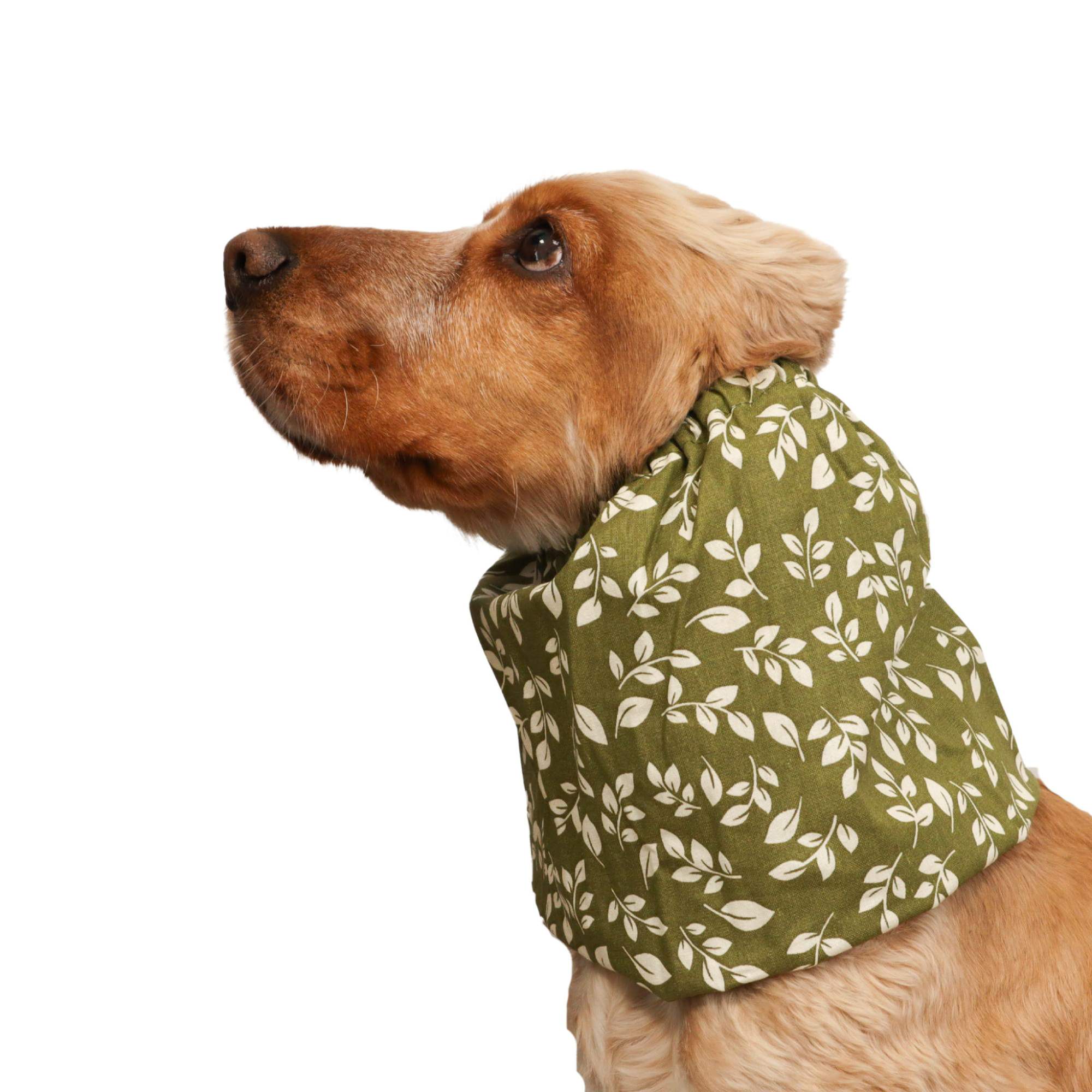 <tc>Medvilninis Snoodas Šuniui | Alyvmedžių giraitė</tc>