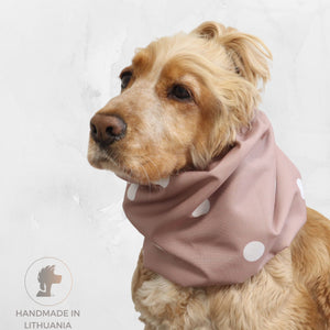 Golden Cocker Spaniel wearing the Blush Dots waterproof dog snood with a soft blush pink fabric and white polka dot pattern.