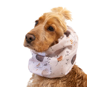 Dog with Snood for dogs by Distinguish me