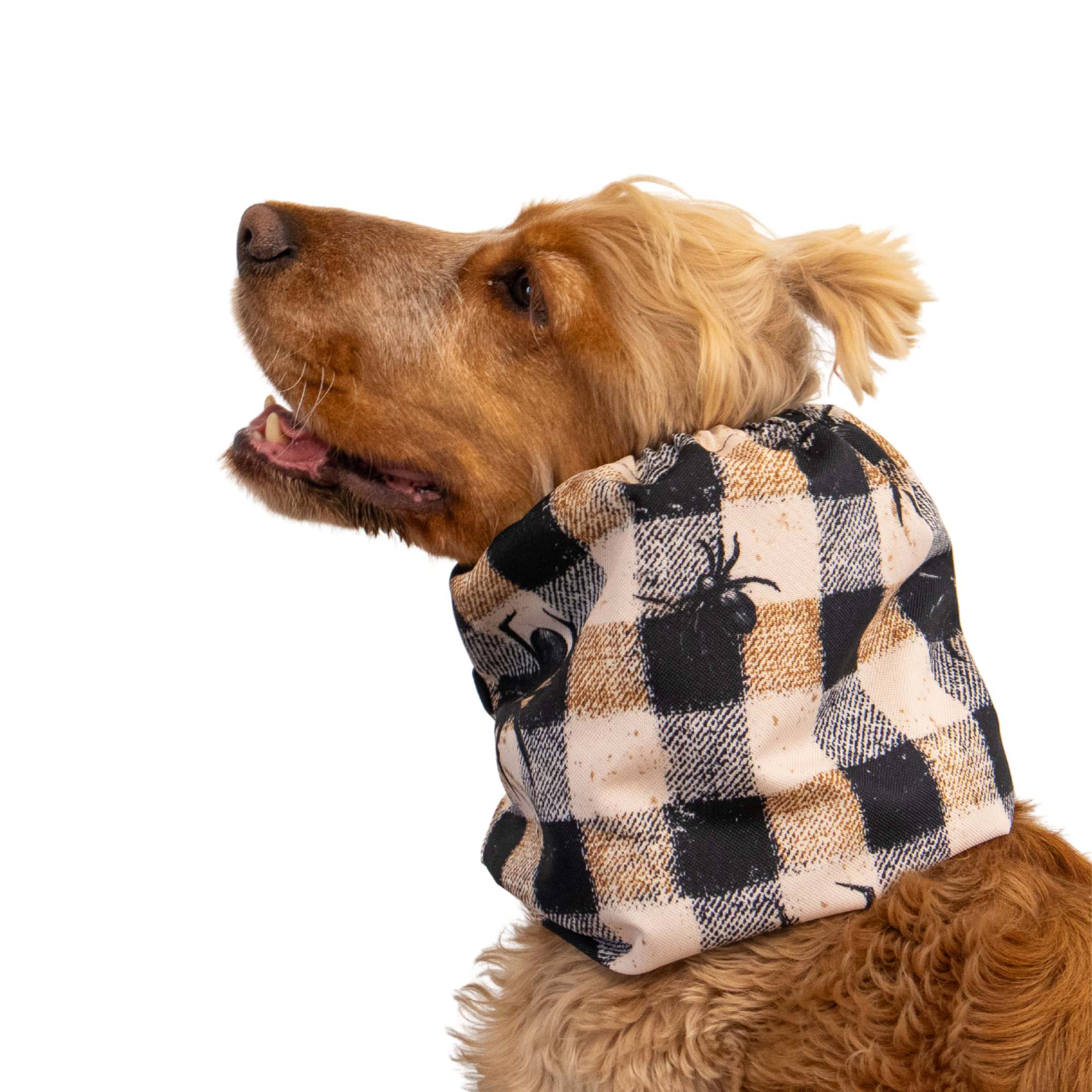 Dog wearing a checkered scarf with a deer design on a white background