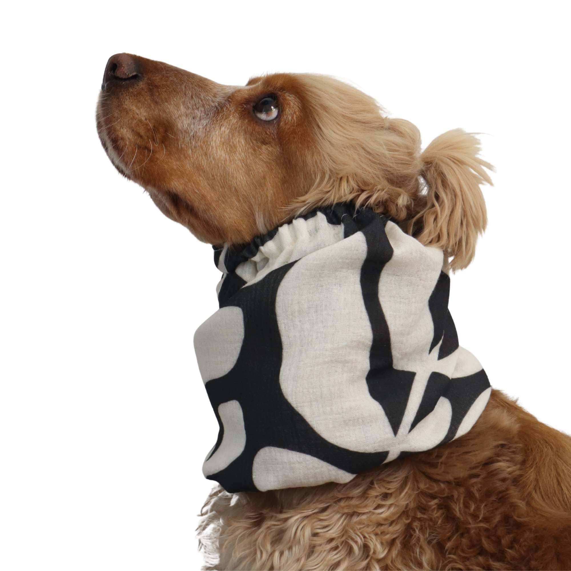 Distinguish me cotton muslin dog snood White Leaf as a feeding snood to keep long ears clean