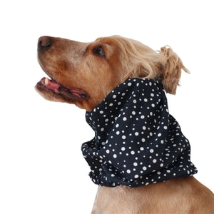 Golden English Cocker Spaniel wearing a black cotton dog snood patterned with scattered white dots.