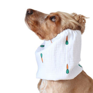 Golden English Cocker Spaniel wearing a white cotton muslin dog snood printed with orange and green carrots.