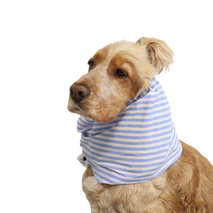 Front three-quarter view of a Cocker Spaniel wearing the Captain’s Style striped cotton dog snood, showing the blue and white nautical pattern and overall fit.
