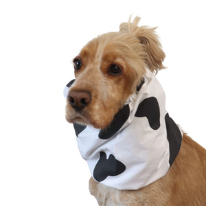 A light brown dog wearing a white pet snood with black cow-print spots
