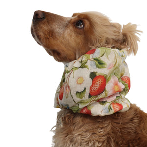 Distinguish me cotton muslin dog snood Wild Strawberry as a feeding snood to keep long ears clean