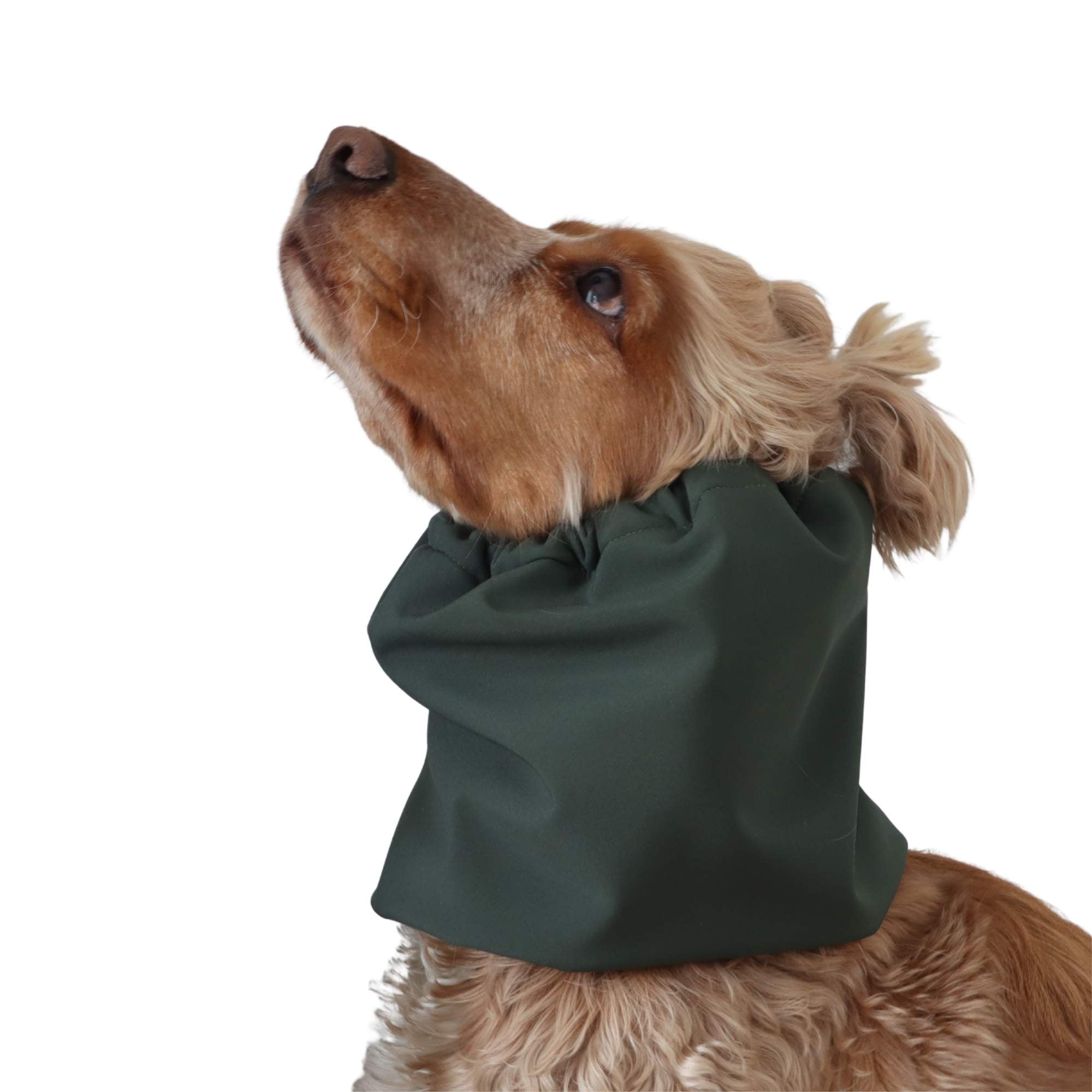 Distinguish me waterproof winter dog snood Forest Green providing ear and neck protection in cold weather