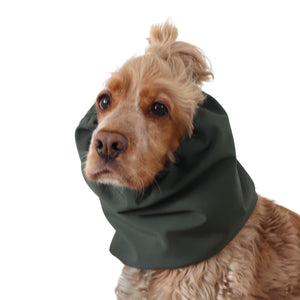 Solid forest green waterproof dog ear cover snood by Distinguish me with snug comfortable fit
