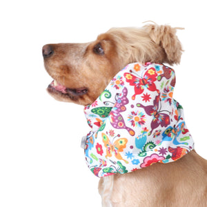 Golden English Cocker Spaniel wearing a colorful cotton dog snood patterned with butterflies, flowers .