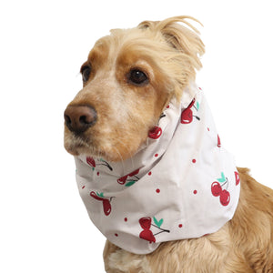 Front three-quarter view of a Cocker Spaniel wearing the Cherries cotton dog snood, showing the red cherry print and overall fit.