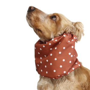 Side view of a Cocker Spaniel wearing the Terracotta Dots waterproof snood, showing how it covers and protects the dog's long ears.