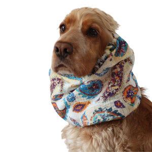 Dog with muslin dog snood from Distinguish me