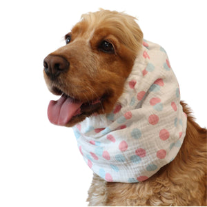 Cocker spaniel wearing pastel polka dot dog snood made from cotton muslin – Pastel Party design by Distinguish Me