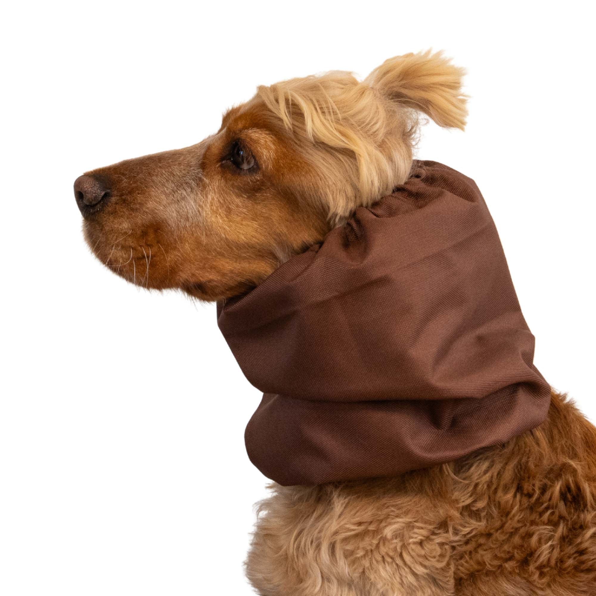 Dog wearing a brown hood on a white background