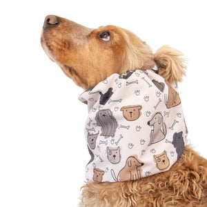 Dog snood protecting ears from rain and dirt