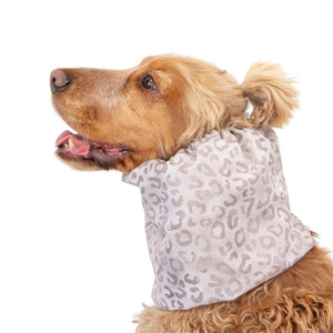 Lightweight dog snood for rain and daily walks