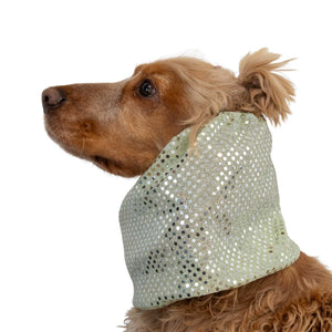 Stylish shiny dog snood suitable for all seasons