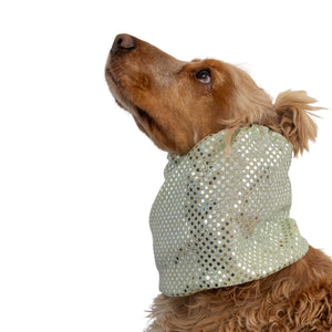 Fashion dog snood with shiny champagne finish for daily walks