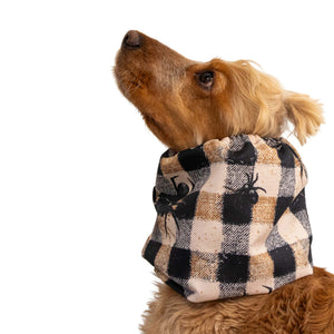 Dog wearing a checkered scarf with spider designs on a light gray