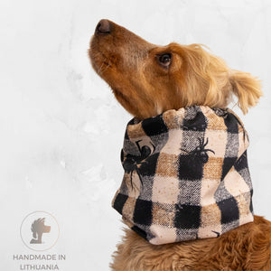 Dog wearing a checkered scarf with spider designs on a light gray background