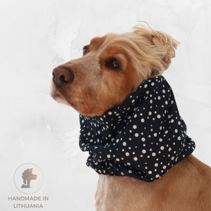 Golden English Cocker Spaniel wearing a black cotton dog snood patterned with scattered white dots.