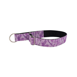 Adjustable Limited Slip dog collar with Lavender Meadow botanical print and soft padded lining